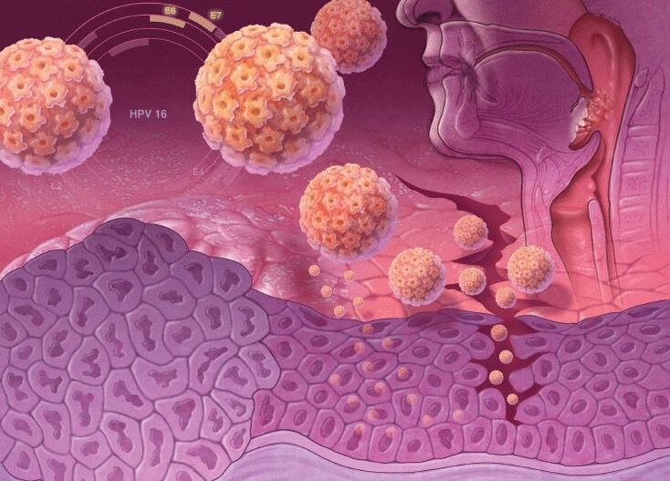 Eindringen von HPV in den menschlichen Körper